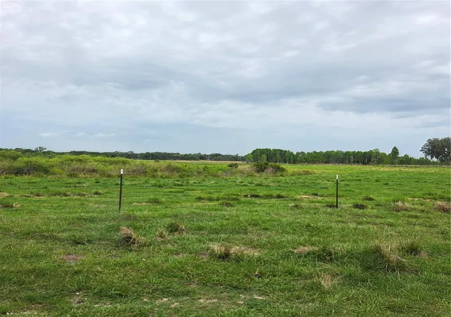5th image of Vernon Dairy, Spring Hill, FL 34610 | MLS# TB8512073