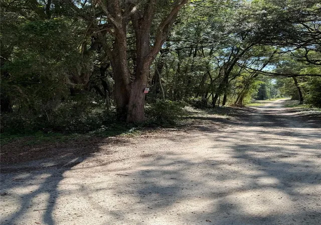 Photo 2 of Land for sale at 0 Sw 146th Place #328, Dunnellon, FL 34432 | MLS# TB8512134 | Listing updated on 2026-08-27