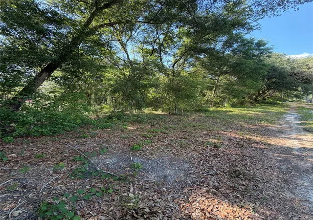 Photo 4 of Land for sale at 0 SW 146th Place #328, Dunnellon, FL 34432 | MLS# TB8512134 | Listing updated on 2026-08-27