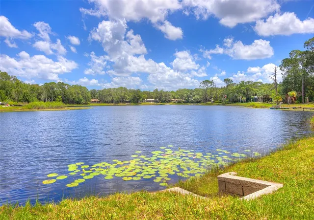 50th image of 33 Willow Ln, Deland, FL 32724 | MLS# V4949278