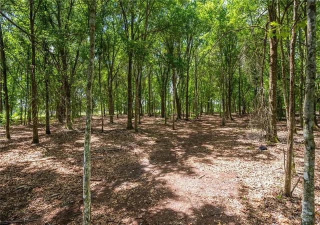 3rd image of 15079 Brahma Rd, Polk City, FL 33868 | MLS# P4938808