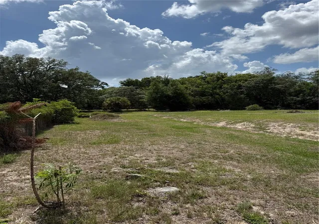 3rd image of 1401 N Candler Ave, Orlando, FL 32818 | MLS# O6410842