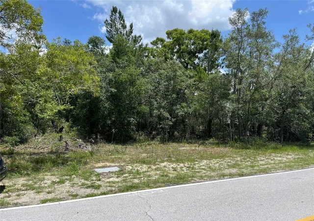 Land for sale at Pinehurst Dr, SPRING HILL, FL 34606 | MLS# W7886095