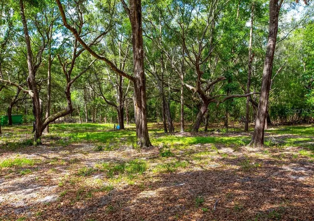 Homes for sale in Trenton, FL | 5350 Se 3Rd Ln, Trenton, FL 32693 | MLS# GC540642