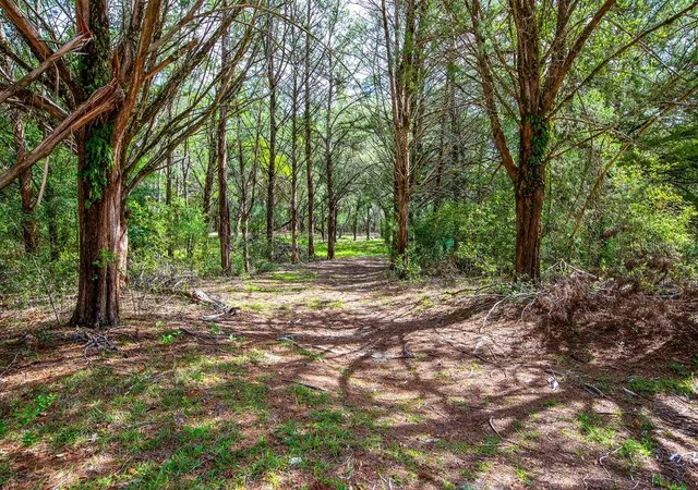 Homes for sale in Trenton, FL | 5350 Se 3Rd Ln, Trenton, FL 32693 | MLS# GC540642