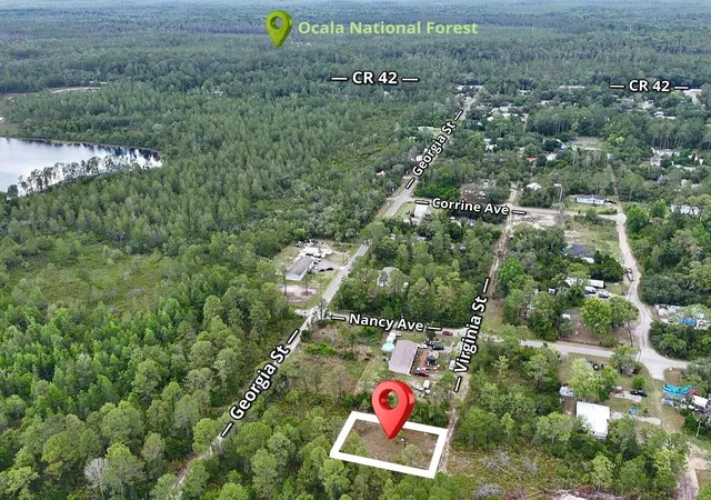 4th image of 56309 Virginia St, Paisley, FL 32767 | MLS# S5150645