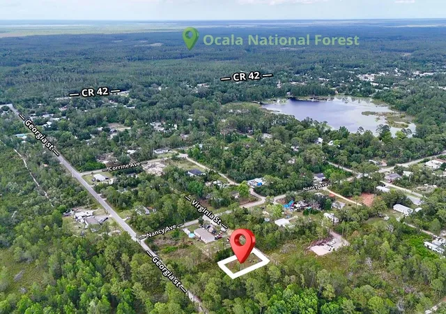 5th image of 56309 Virginia St, Paisley, FL 32767 | MLS# S5150645