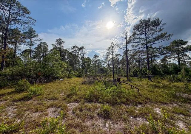 Homes for sale in Paisley, FL | 56309 Virginia St, Paisley, FL 32767 | MLS# S5150645