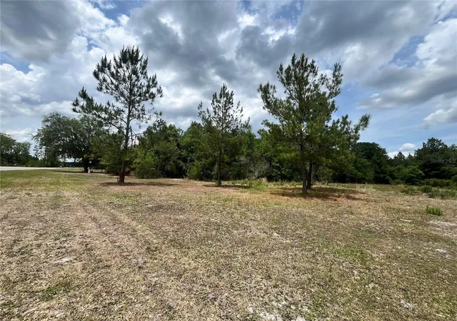 Photo 2 of Land for sale at 0 Nw County Rd 229, Starke, FL 32091 | MLS# GC540650 | Listing updated on 2026-05-27
