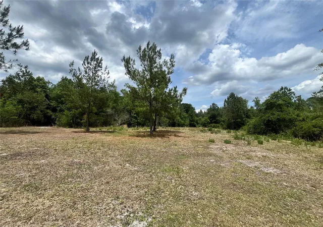 Photo 2 of Land for sale at 0 NW County Rd 229, Starke, FL 32091 | MLS# GC540650 | Listing updated on 2026-05-27