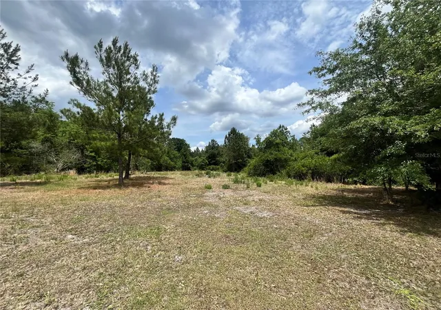 Photo 3 of Land for sale at 0 NW County Rd 229, Starke, FL 32091 | MLS# GC540650 | Listing updated on 2026-05-27