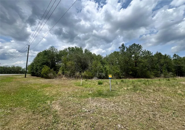 Photo 4 of Land for sale at 0 NW County Rd 229, Starke, FL 32091 | MLS# GC540650 | Listing updated on 2026-05-27