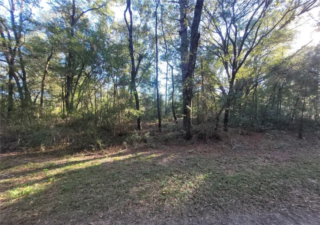 1st image of 0 Sw 22nd Pl, Ocala, FL 34481 | MLS# W7886115