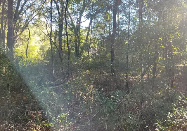 3rd image of 0 Sw 22nd Pl, Ocala, FL 34481 | MLS# W7886115