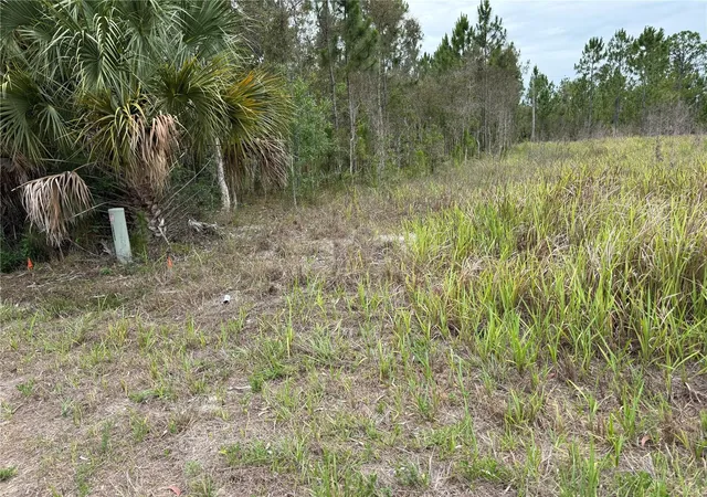 Photo 2 of Land for sale at 1009 Jackson Ave, Lehigh Acres, FL 33972 | MLS# OM725425 | Listing updated on 2026-06-02