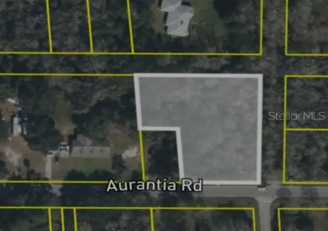Homes for sale in Mims, FL | 4060 Aurantia Rd, Mims, FL 32754 | MLS# O6411058