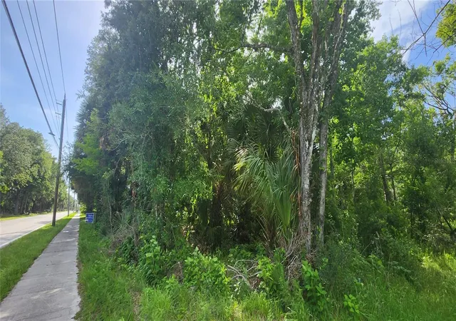 Homes for sale in Mims, FL | 4060 Aurantia Rd, Mims, FL 32754 | MLS# O6411058