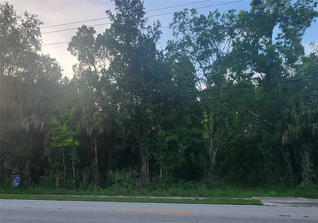 Homes for sale in Mims, FL | 4060 Aurantia Rd, Mims, FL 32754 | MLS# O6411058