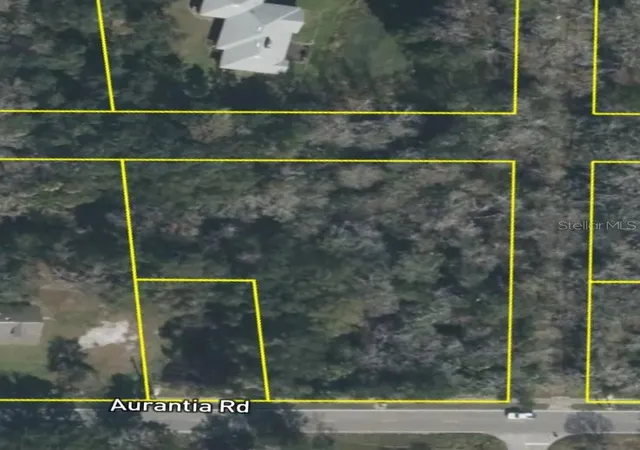 Homes for sale in Mims, FL | 4060 Aurantia Rd, Mims, FL 32754 | MLS# O6411058