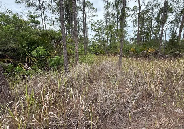 Photo 3 of Land for sale at 1106 W 13th Street, Lehigh Acres, FL 33972 | MLS# OM725433 | Listing updated on 2026-10-09