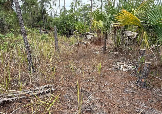 Photo 4 of Land for sale at 1106 W 13th Street, Lehigh Acres, FL 33972 | MLS# OM725433 | Listing updated on 2026-10-09