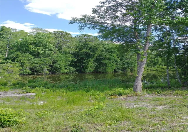 3rd image of 0000 Eagle Blvd, Land O Lakes, FL 34639 | MLS# R4911330