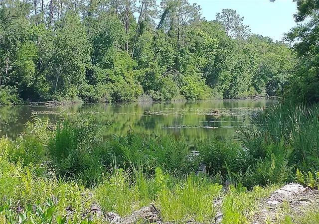 4th image of 0000 Eagle Blvd, Land O Lakes, FL 34639 | MLS# R4911330