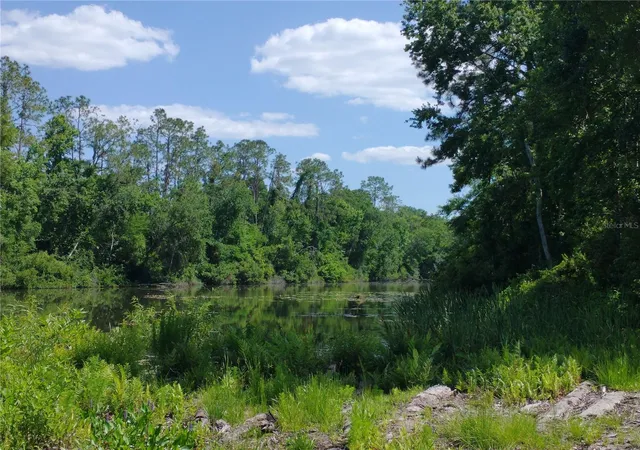5th image of 0000 Eagle Blvd, Land O Lakes, FL 34639 | MLS# R4911330
