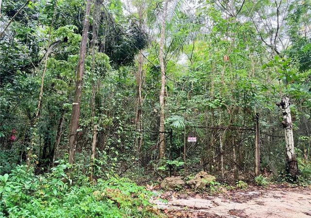 Homes for sale in Vega Baja, PR | Carr 646 Km 72 Bo Río Arriba, Vega Baja, PR 00693 | MLS# PR9121650