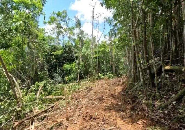 Homes for sale in Vega Baja, PR | Carr 646 Km 72 Bo Río Arriba, Vega Baja, PR 00693 | MLS# PR9121650