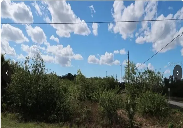 Land for sale at 836 Neuse Ave, FORT MYERS, FL 33913 | MLS# N6144482