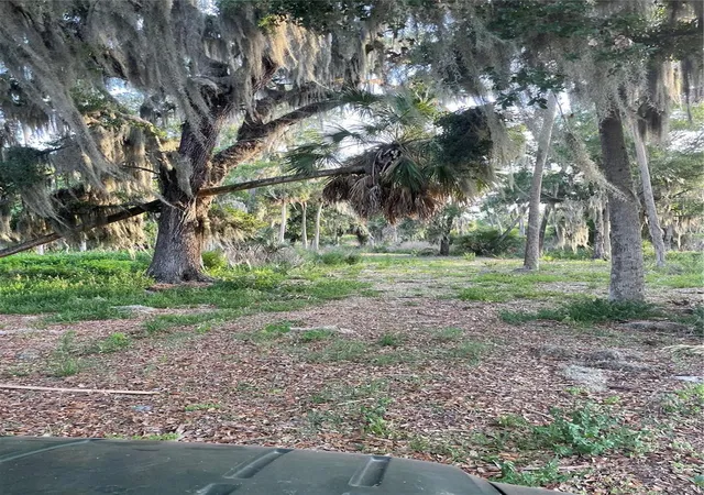 Photo 4 of Land for sale at Lake Marion Rd W, Haines City, FL 33844 | MLS# P4938824 | Listing updated on 2026-05-28