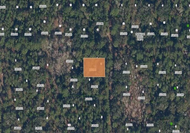 Homes for sale in Georgetown, FL | Spruce Dr, Georgetown, FL 32139 | MLS# K4903524