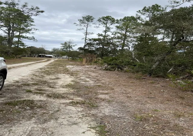 Photo 1 of Land for sale at 0 Ne 144th Court, Fort Mc Coy, FL 32134 | MLS# OM725497 | Listing updated on 2026-06-11