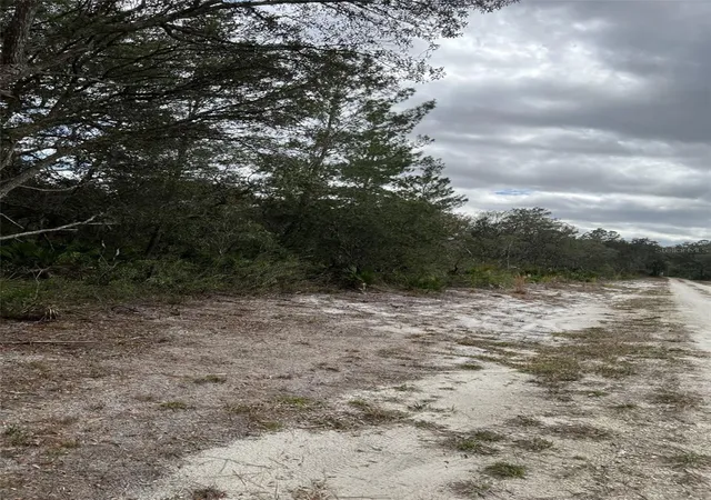 Photo 2 of Land for sale at 0 Ne 144th Court, Fort Mc Coy, FL 32134 | MLS# OM725497 | Listing updated on 2026-06-11