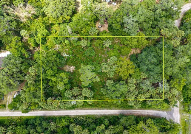 1st image of Swamp Ln, Geneva, FL 32732 | MLS# A4695023