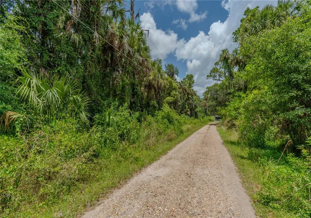 19th image of Swamp Ln, Geneva, FL 32732 | MLS# A4695023