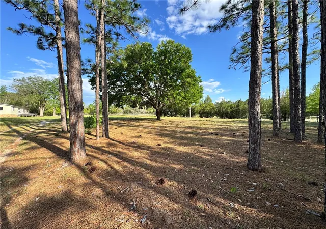 Photo 3 of Manufactured home for sale at 4551 NE 132nd Court, Williston, FL 32696 | MLS# OM725506 | Listing updated on 2026-09-15