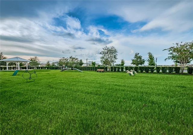 87th image of 18233 Roseate Dr, Lutz, FL 33558 | MLS# TB8512909