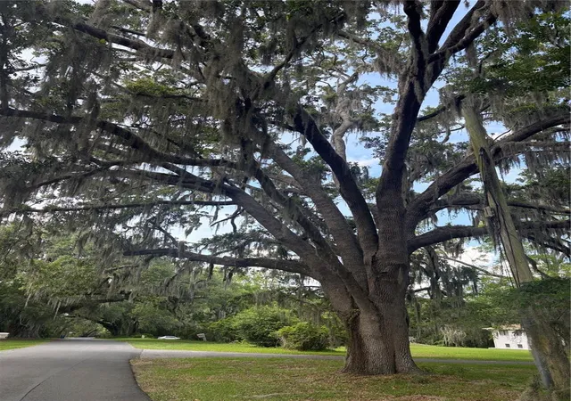 2nd image of Mildred Ave, Brooksville, FL 34601 | MLS# W7886166