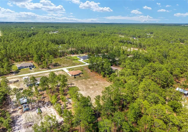 66th image of 13130 Sw 76th Ln, Dunnellon, FL 34432 | MLS# OM725517