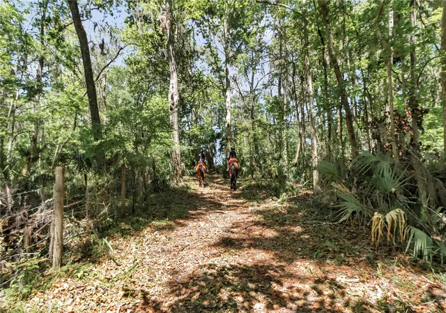72nd image of 7000 Nw Hwy 320, Micanopy, FL 32667 | MLS# OM725518