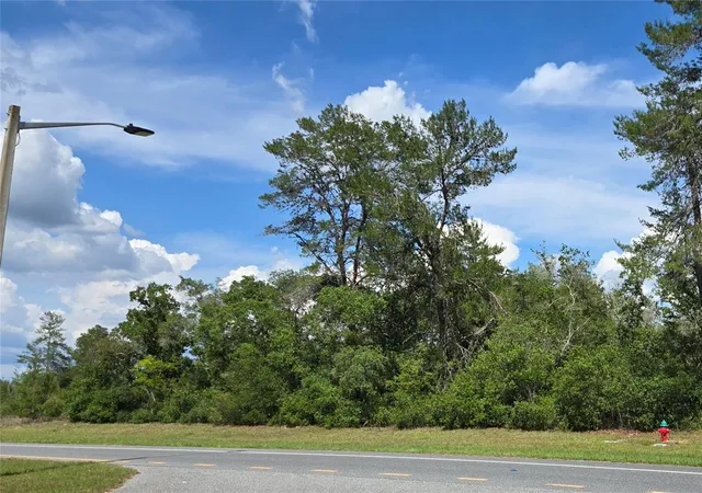 Photo 1 of Land for sale at 00 Marion Oaks Blvd, Ocala, FL 34473 | MLS# TB8513009 | Listing updated on 2026-07-27
