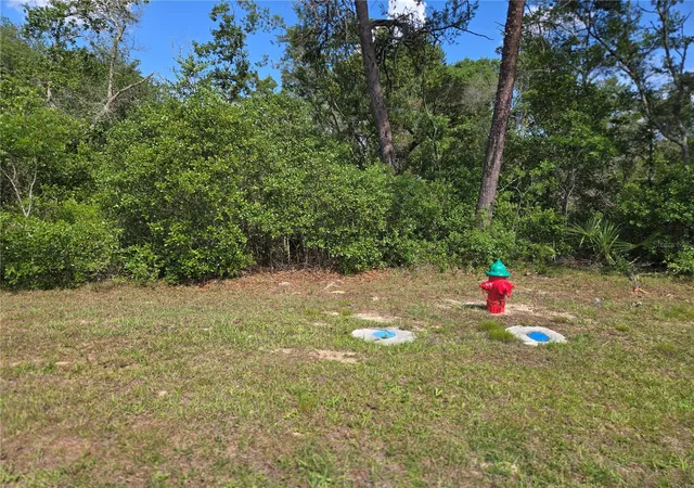 Photo 2 of Land for sale at 00 Marion Oaks Blvd, Ocala, FL 34473 | MLS# TB8513009 | Listing updated on 2026-07-27