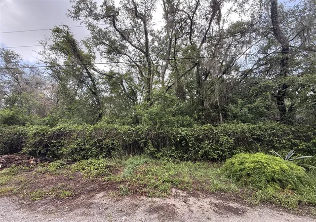 Photo 3 of Land for sale at 10934 Leon St, New Port Richey, FL 34654 | MLS# W7886172 | Listing updated on 2026-05-29