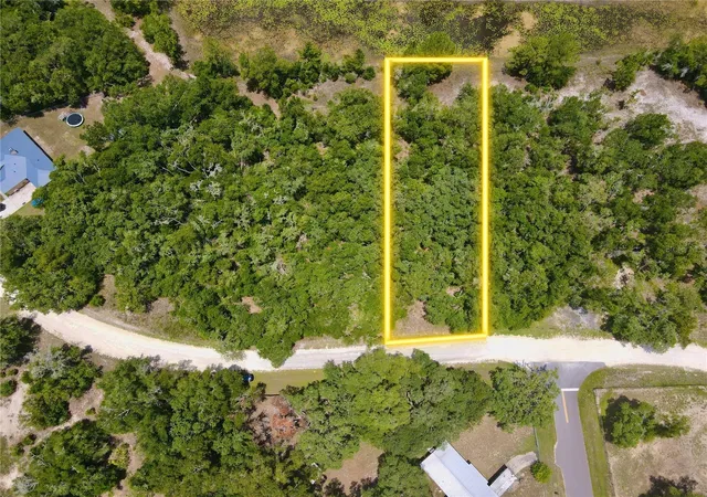 Homes for sale in Dade City, FL | 34237 Shaffer Dr, Dade City, FL 33523 | MLS# TB8513050
