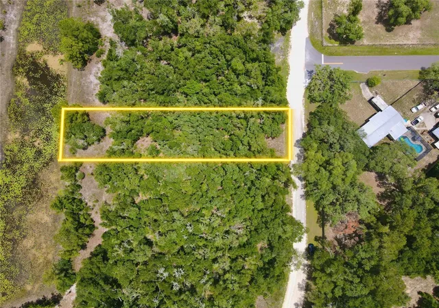 Homes for sale in Dade City, FL | 34237 Shaffer Dr, Dade City, FL 33523 | MLS# TB8513050