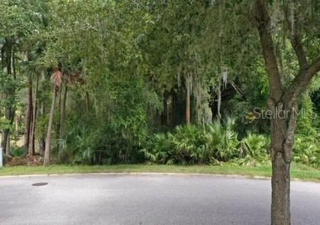 Photo 2 of Land for sale at 165 Willow Oak Way, Palm Coast, FL 32137 | MLS# FC318868 | Listing updated on 2026-06-08