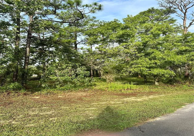 1st image of 2 Barkwood Pt, Homosassa, FL 34446 | MLS# W7886185