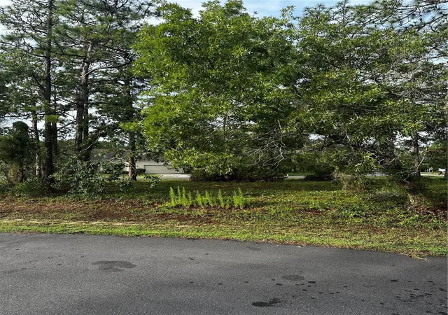 4th image of 2 Barkwood Pt, Homosassa, FL 34446 | MLS# W7886185